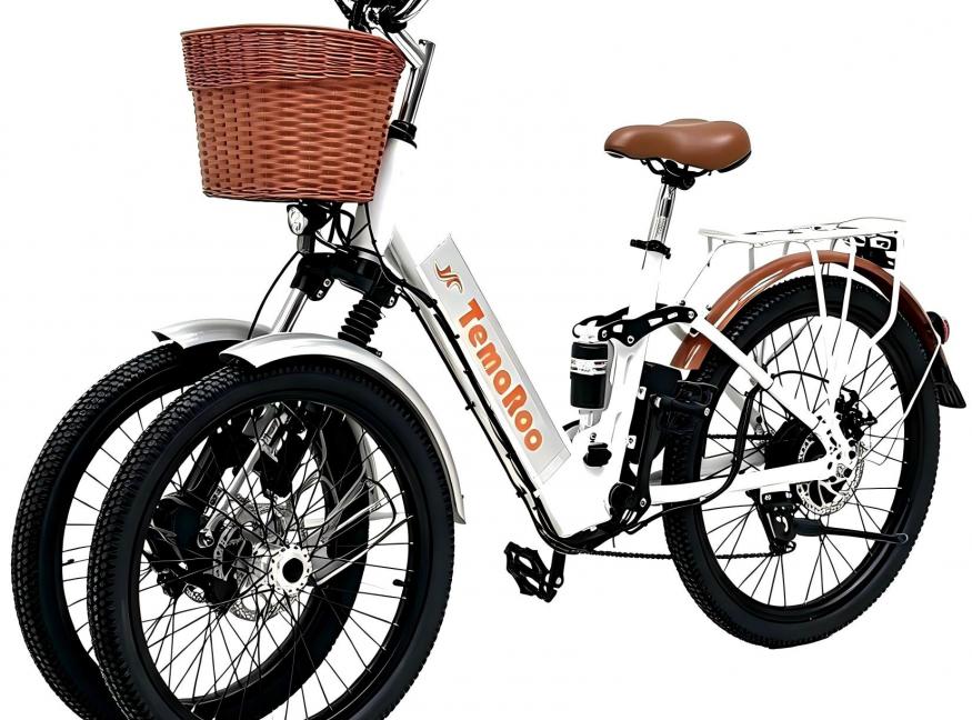 TEMAROO Readies Tilting Reverse-Trike E-Bike for OEM Production